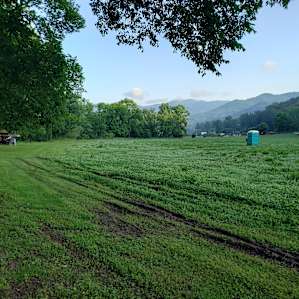 Well maintained, grassy area ... portapoty was VERY clean