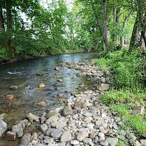 River looking Northward from campsite