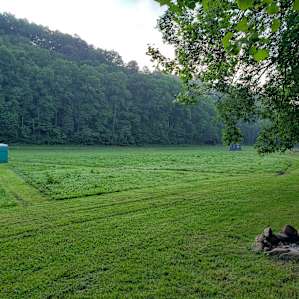 Well maintained grassy area ... even had mowed lines to make walking to portapoty easier.