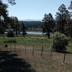 Overlooking the lake