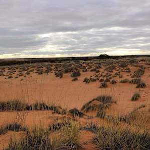 Stockyard Plains Group Booking