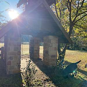 Picture on the property