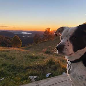 Mountain Top Shack