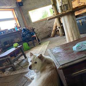 Interior of the hobbit house