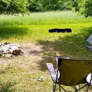 Pear Grove Campsite