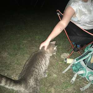 Judah the cat is very friendly and will come visit if you're nice.