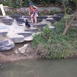 Little view of the area before the narrow river crossing, dogs loved diving in from here.