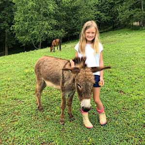 Elizabeth and Mark's farm animals were so gentle and cute!