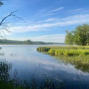View of the river from the site