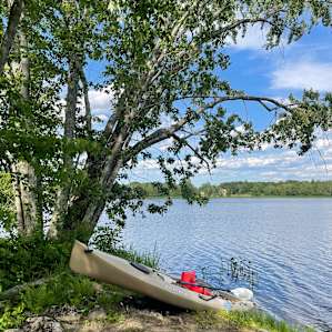 Kayak!