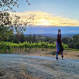Glamp at a winery and vineyard