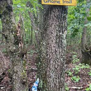 A fun gnome themed trail. We took to leave, adding it to the end to lengthen the display.