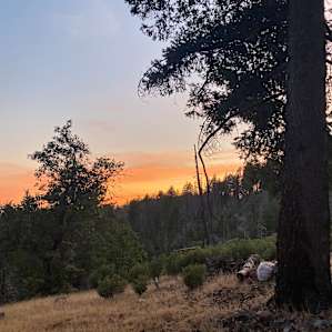 160 Acres amidst National Forest