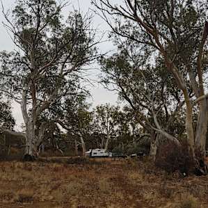 Bright - Creek Campsite,