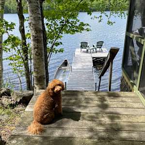 El Floretta Lakeside Tiny Cabin