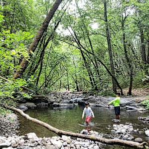 #3 Family Teepee Creekside