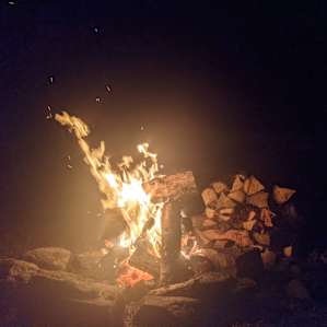 Pure Valley Camping