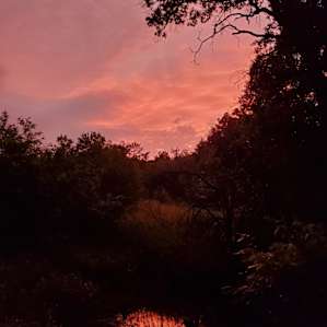 Beautiful sunset.