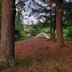 Comfortably cleared tent spot!
