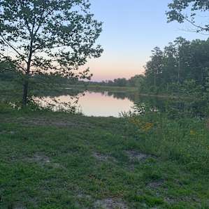 Secluded Campsite by the lake