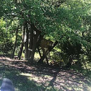 Treehouse on the Creek
