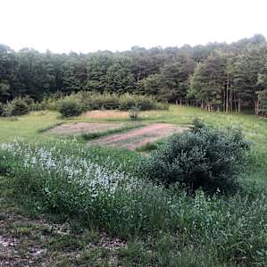 Divide Run Campground