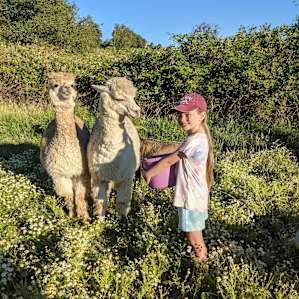 Camp at our farm sanctuary!