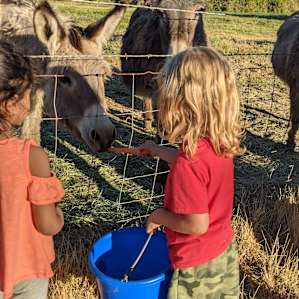 Camp at our farm sanctuary!