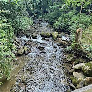 Trout Creek Campers and Popups
