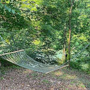 A hammock for an afternoon nap.