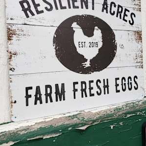 Regenerative Farm Stay: Sycamore