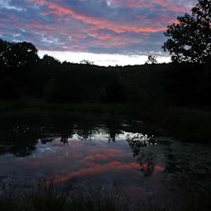 Pretty sunset