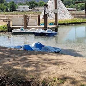 Swimming pond and paddle boats