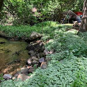 Doriath Springs