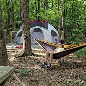 Woodland Campsite at Sparkroot Farm
