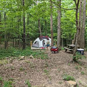 Woodland Campsite at Sparkroot Farm