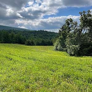 Black Creek's Tent Haven