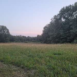 XXL Camp on Prayer Mountain Farms