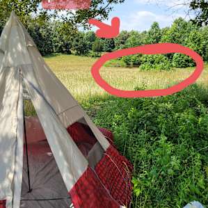 XXL Camp on Prayer Mountain Farms