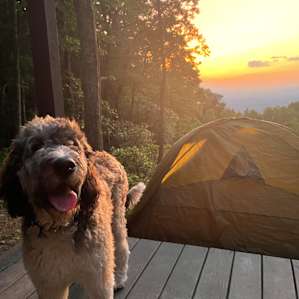 Remote mountain camping platform