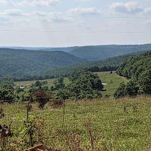 View just up the road from the campsite
