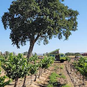 Pianetta Ranch & Winery Camp