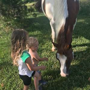 Boss Mare Ranch and Horse Park