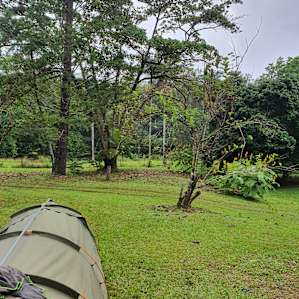 Yindilli campground themselves, well manicured lawn in the middle of the rainforest.