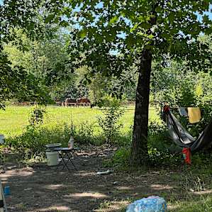 View from Site 4 towards the field where Sparky and Tootsie hang out.
