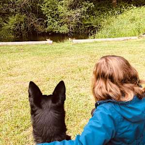 Watching the ducks