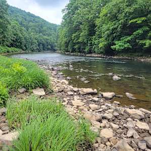 Red Bank Creek