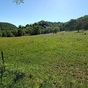 Field across from the campground