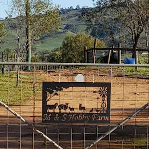 M & S Hobby Farm