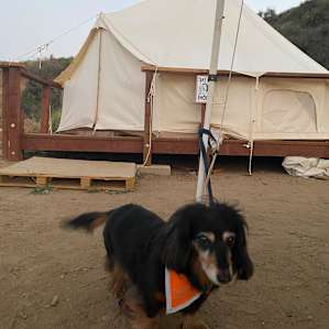 Glamping at Hidden Hill Ranch